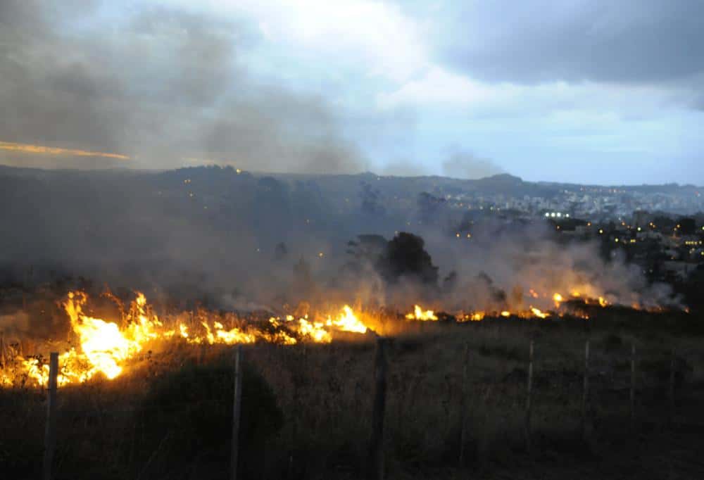 Se quemaron unas 40 hectáreas de pastos muy cerca del country