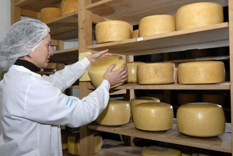 La asociación nació con el propósito de unir a los productores de queso de Tandil y promover el desarrollo sostenible de la industria láctea local.