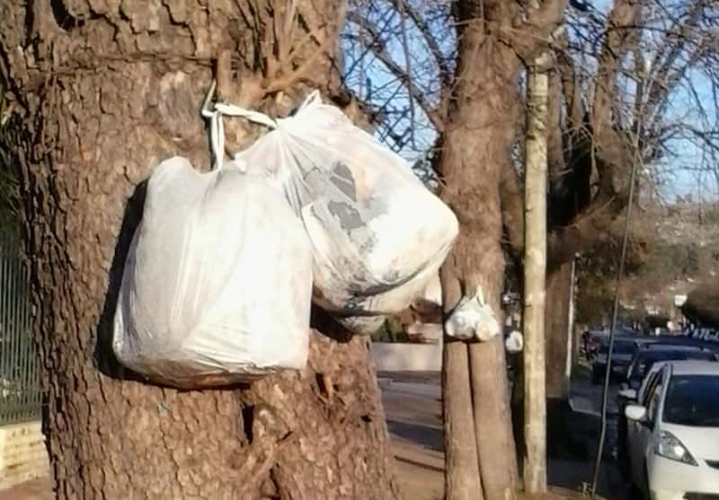 El Municipio solicita a los vecinos no sacar la basura