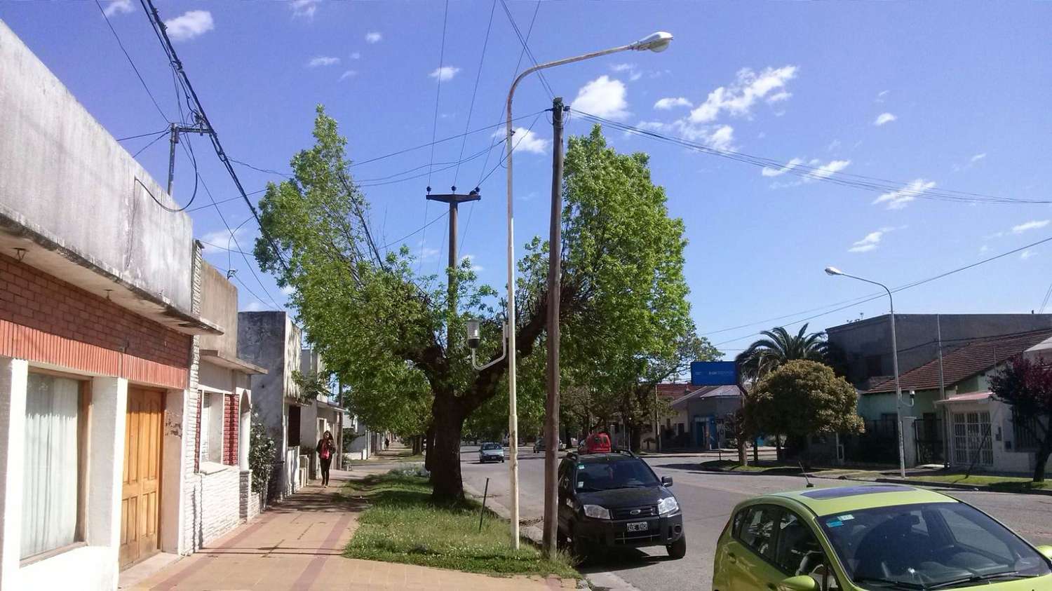 Vecinos de avenida Bolívar, molestos por el estado de  los árboles y del cableado