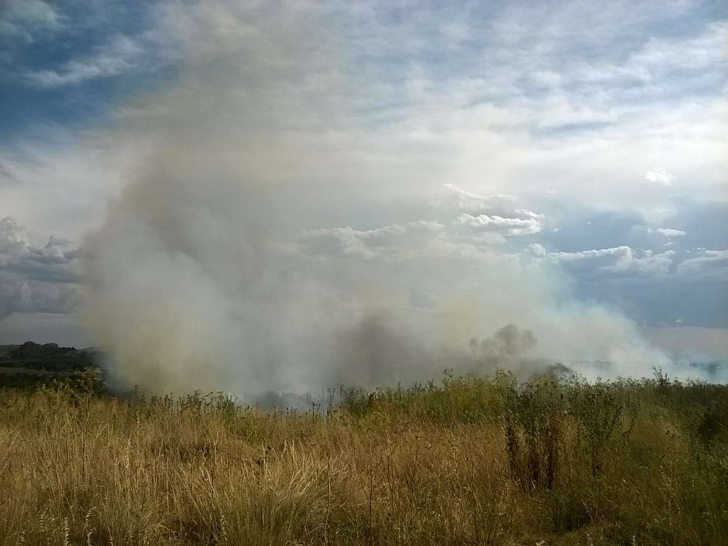 Incendio de pastizales en la zona de Villa Cordobita