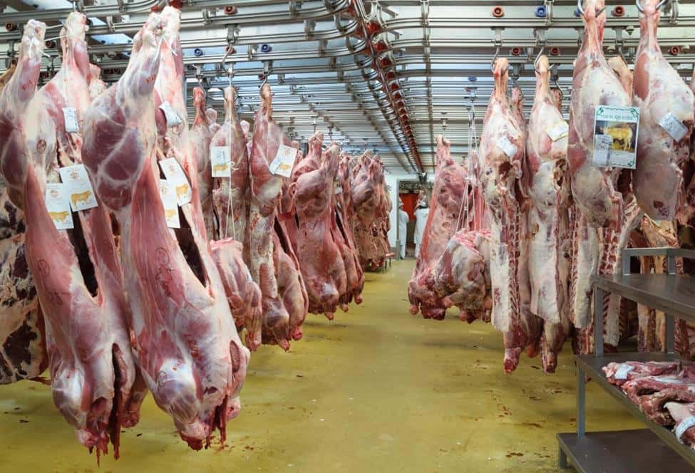 Gremio de la carne solicita intervención municipal ante el eventual cierre del frigorífico Mirasur