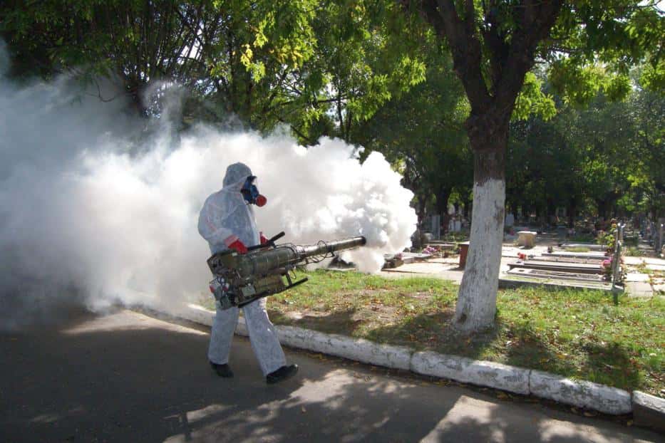 Confirman que en Argentina hay epidemia de dengue