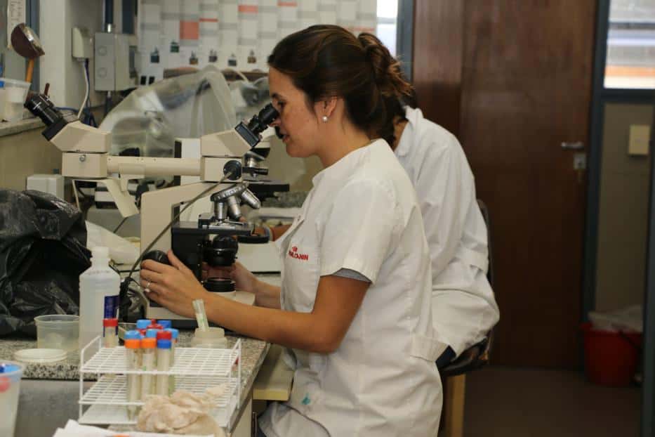 La Facultad de Veterinarias se nutre de investigación de muy buen nivel para la formación de profesionales