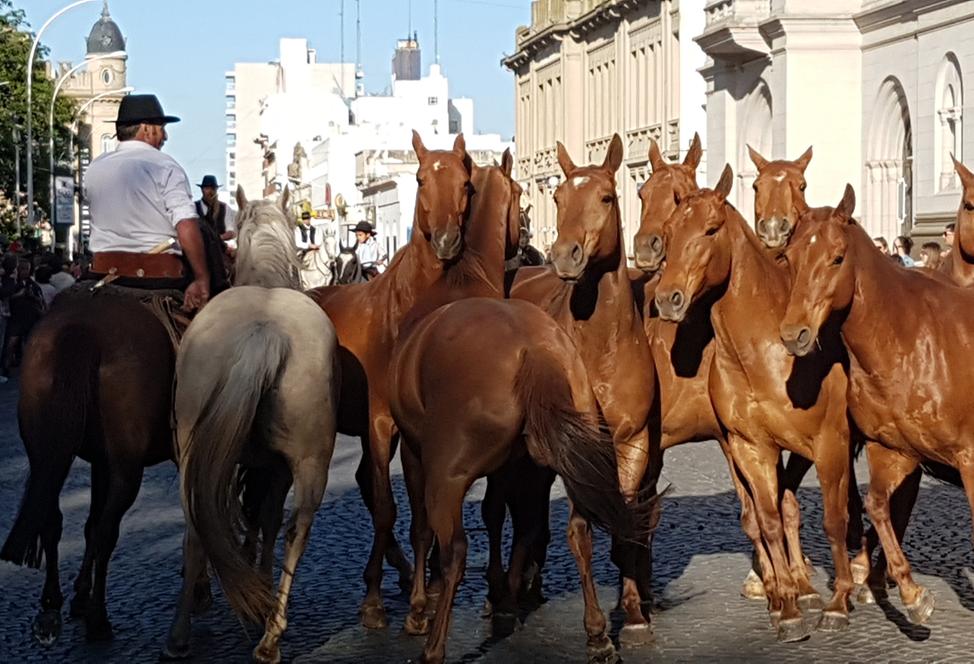 Jorge Villalba, médico veterinario