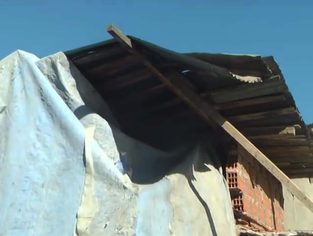 Un árbol cayó sobre el techo de una casa ubicada en Casacuberta al 2200