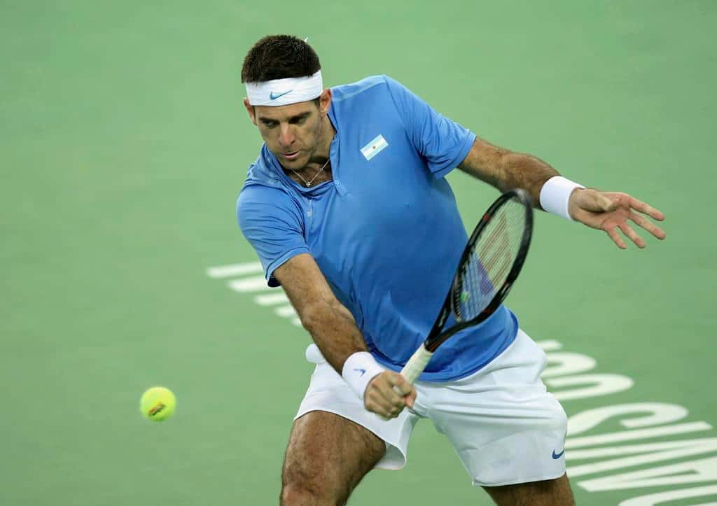Federer regresó al Top Ten y Del Potro continúa siendo el mejor argentino