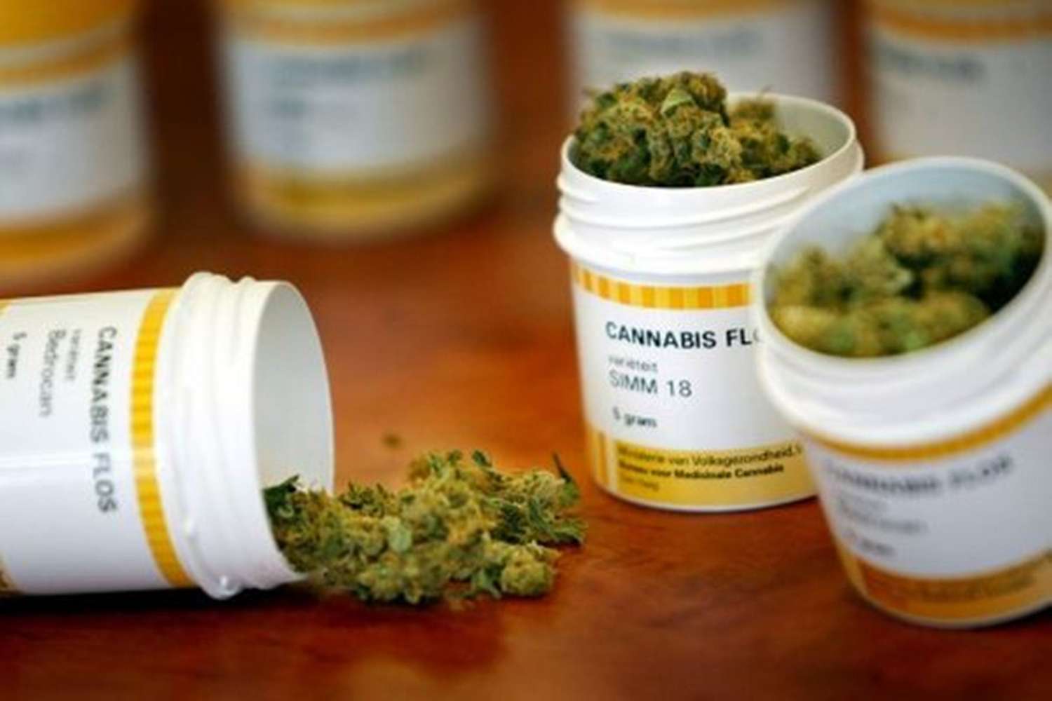 La Corte Suprema de la Nación dejó en claro que el cultivo de cannabis con fines medicinales está fuera de toda persecución penal