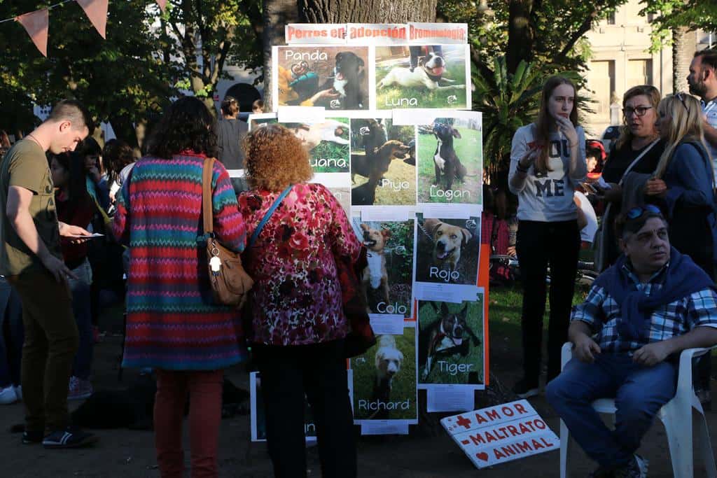 Con una convocatoria a una marcha, cerró con éxito el festival contra el maltrato animal