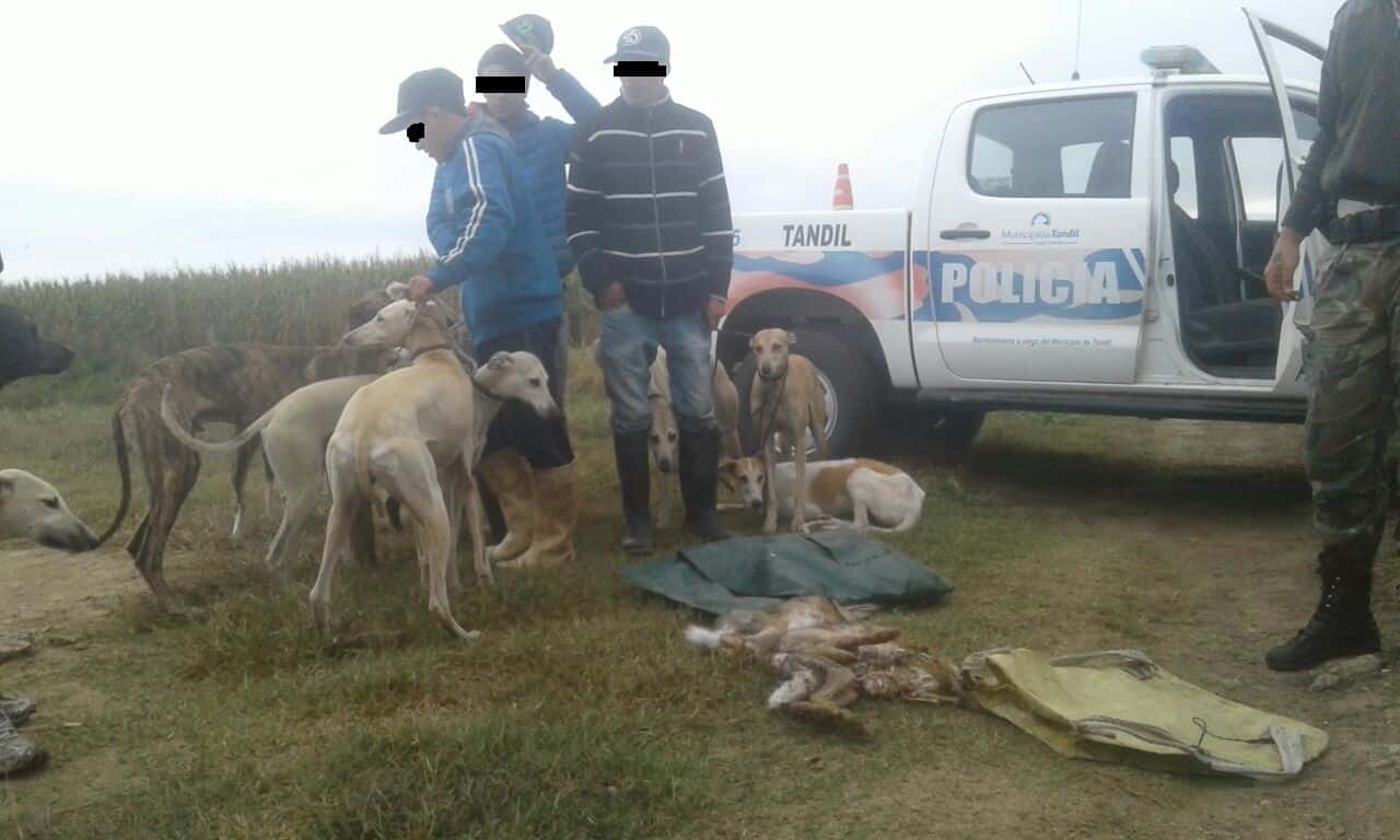 Los infraccionaron por cazar sin autorización liebres con perros galgos