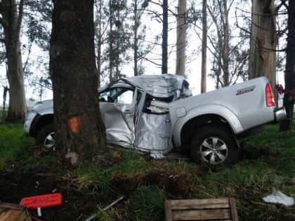 Tandilense sufrió heridas tras despistarse la camioneta en la  que viajaba y chocó con un árbol