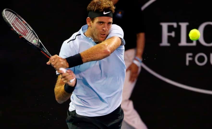 Del Potro venció a David Ferrer y jugará la final del ATP de Auckland