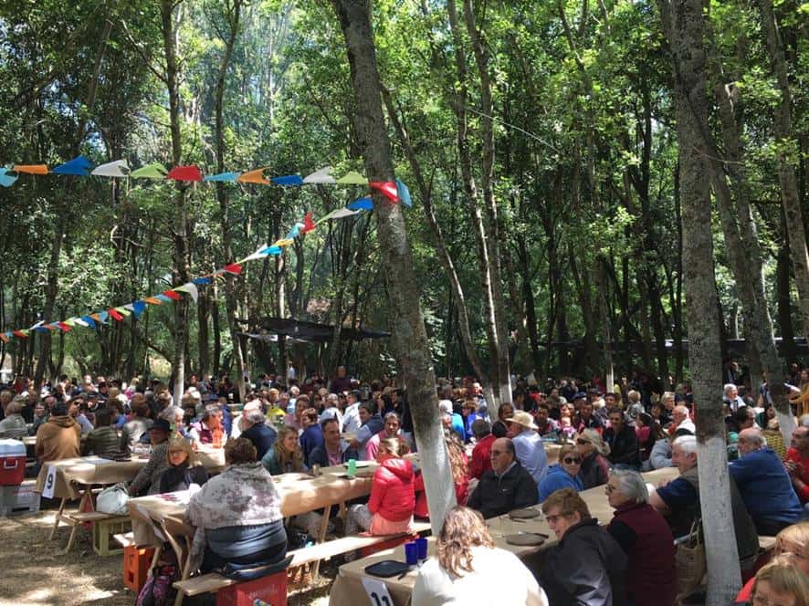 Más de mil personas fueron testigos de la edición  63 del tradicional picnic en De la Canal