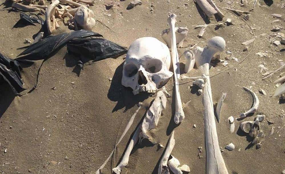 Turistas paseaban en cuatriciclos y encontraron  20 esqueletos humanos en la Península Valdés