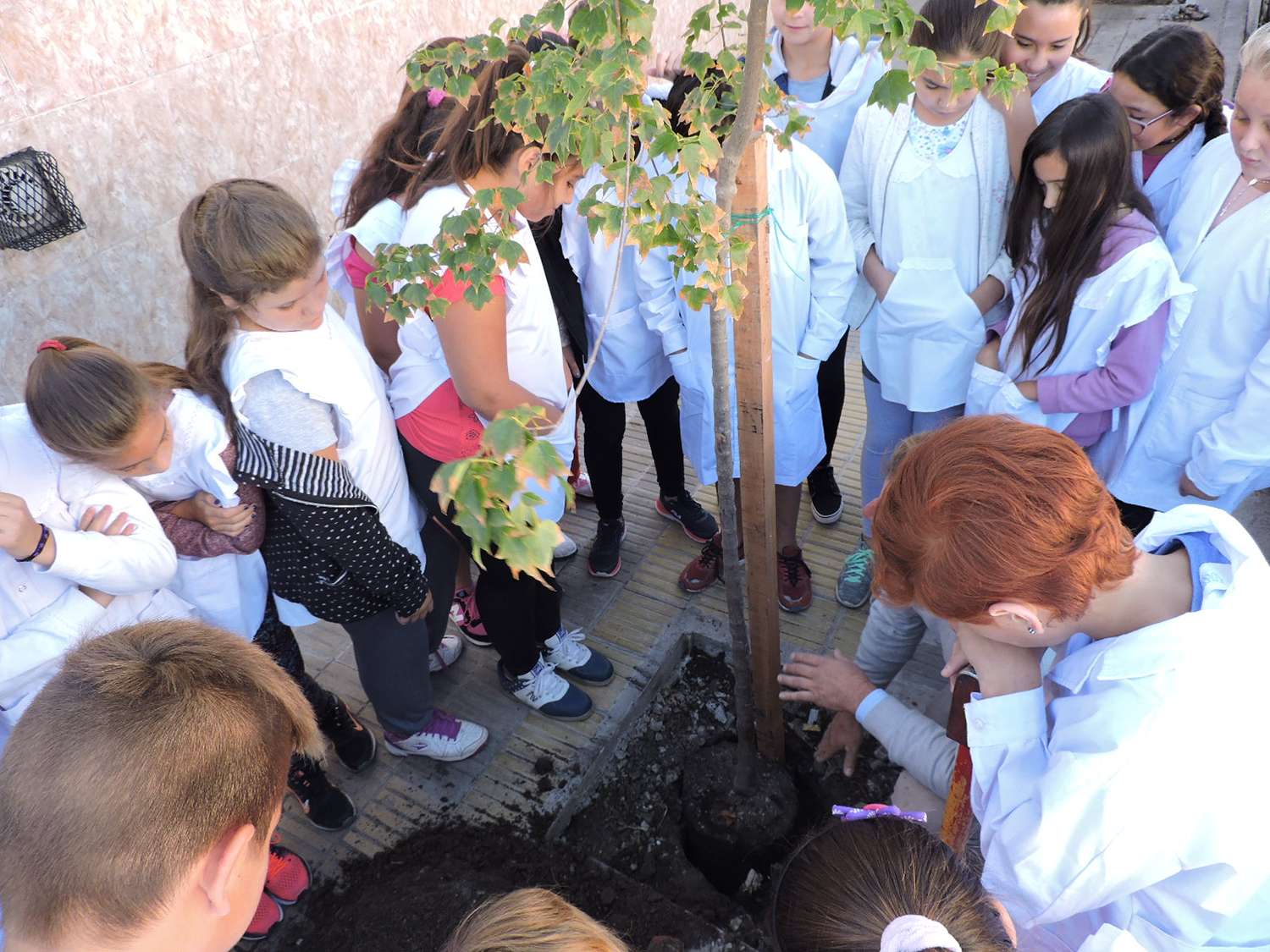Actividad de concientización y plantación de árboles en la Escuela Primaria 58