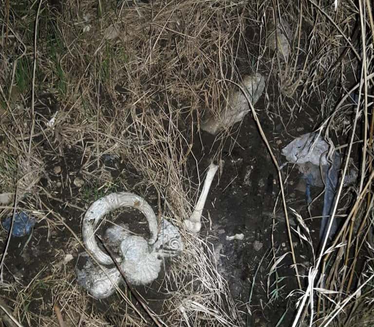 Preocupación de vecinos por la aparición de  restos humanos en el ex basurero de María Ignacia