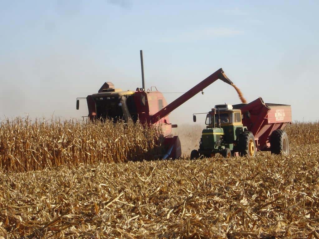 El clima impactó en la soja y  el maíz, reduciendo los rindes