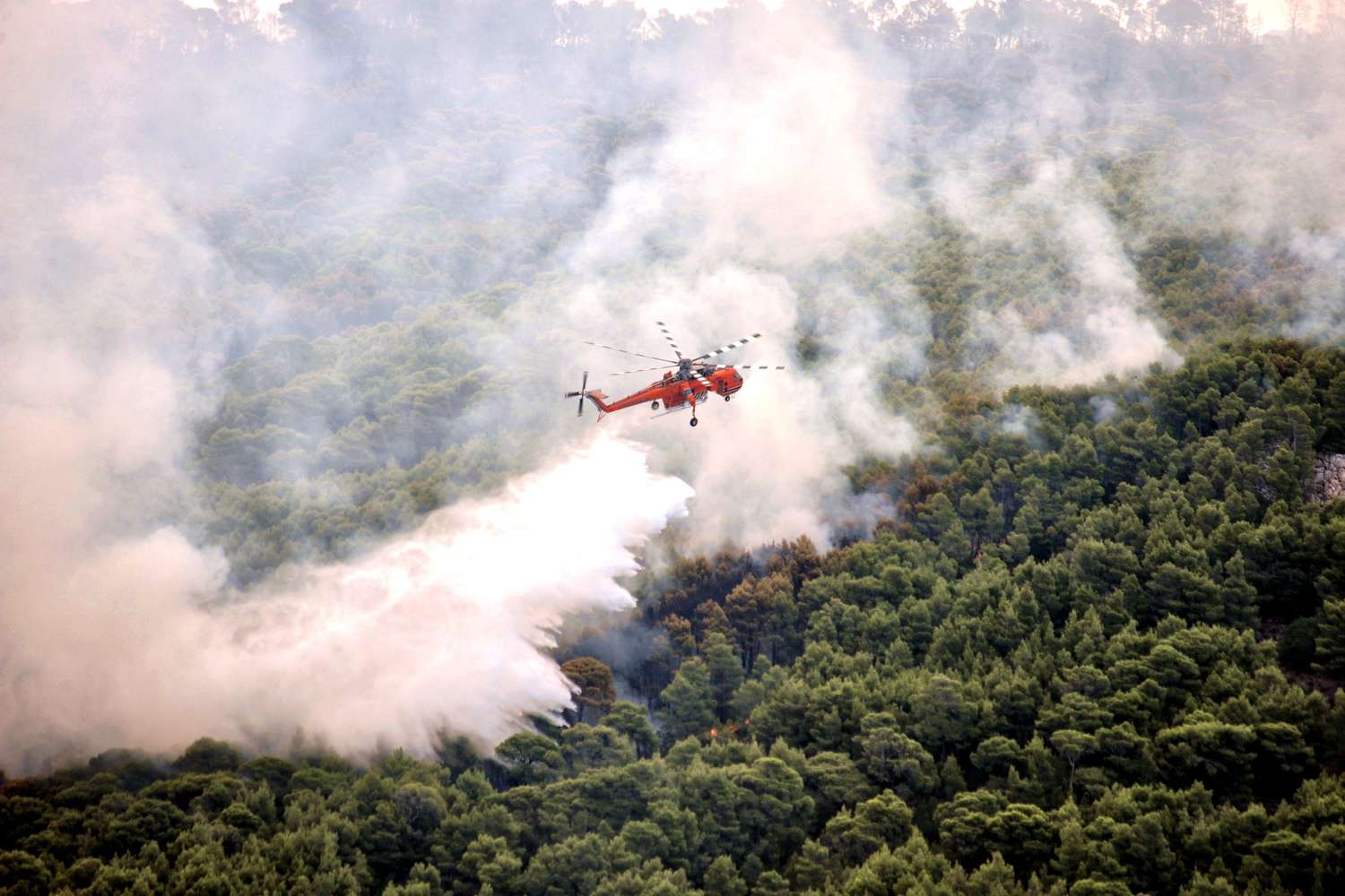 Aumentó el número de víctimas mortales por los incendios que arrasan a Grecia