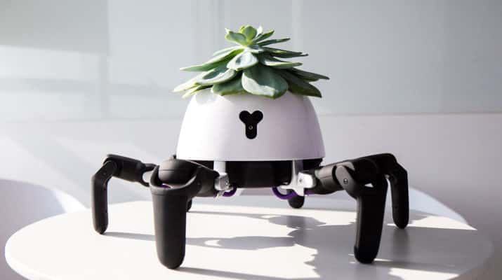 Un robot lleva las plantas al sol o a la sombra cuando lo necesitan