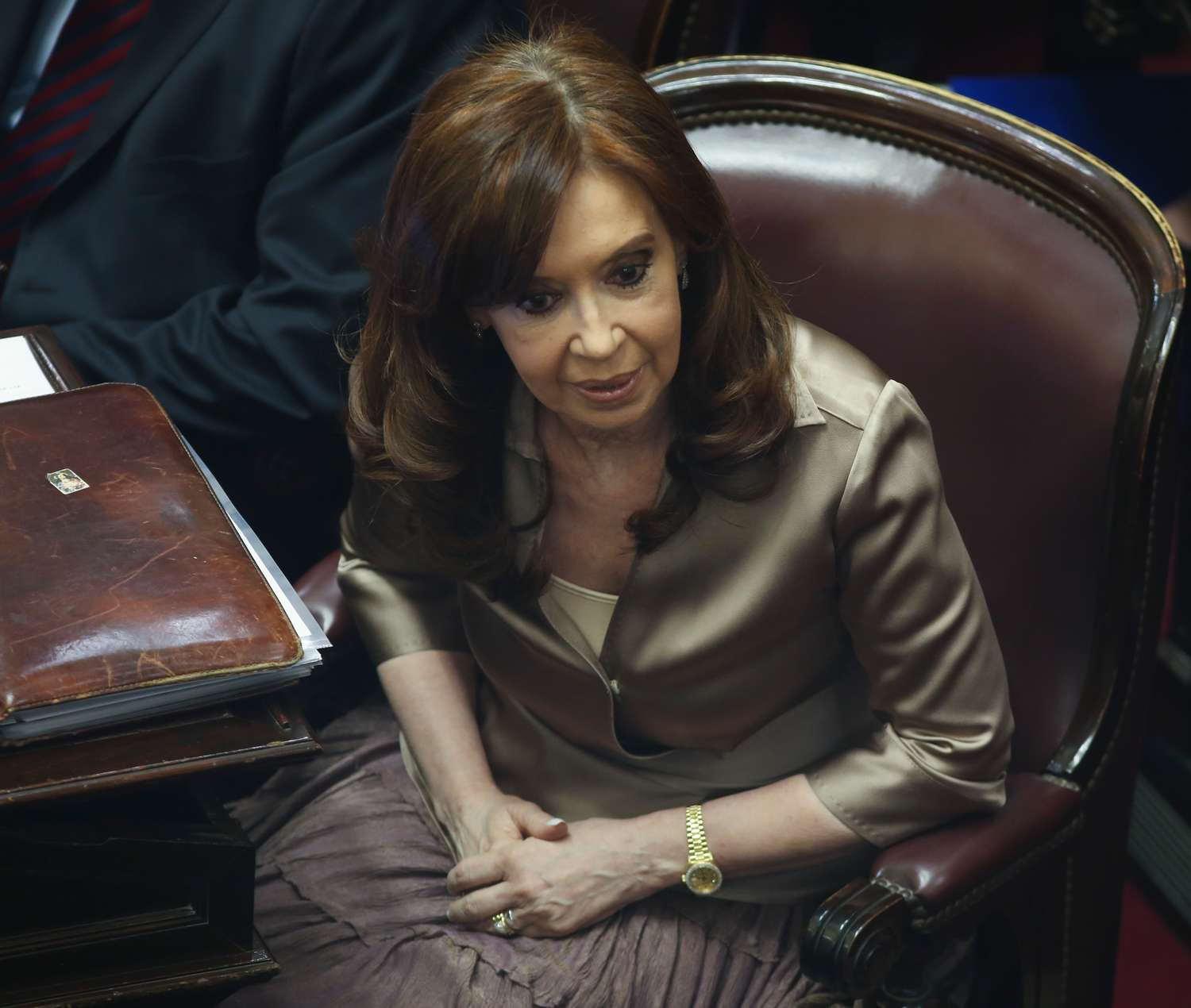 Acordaron Cristina Kirchner y el Movimiento Evita y trabajarán juntos de cara al 2019