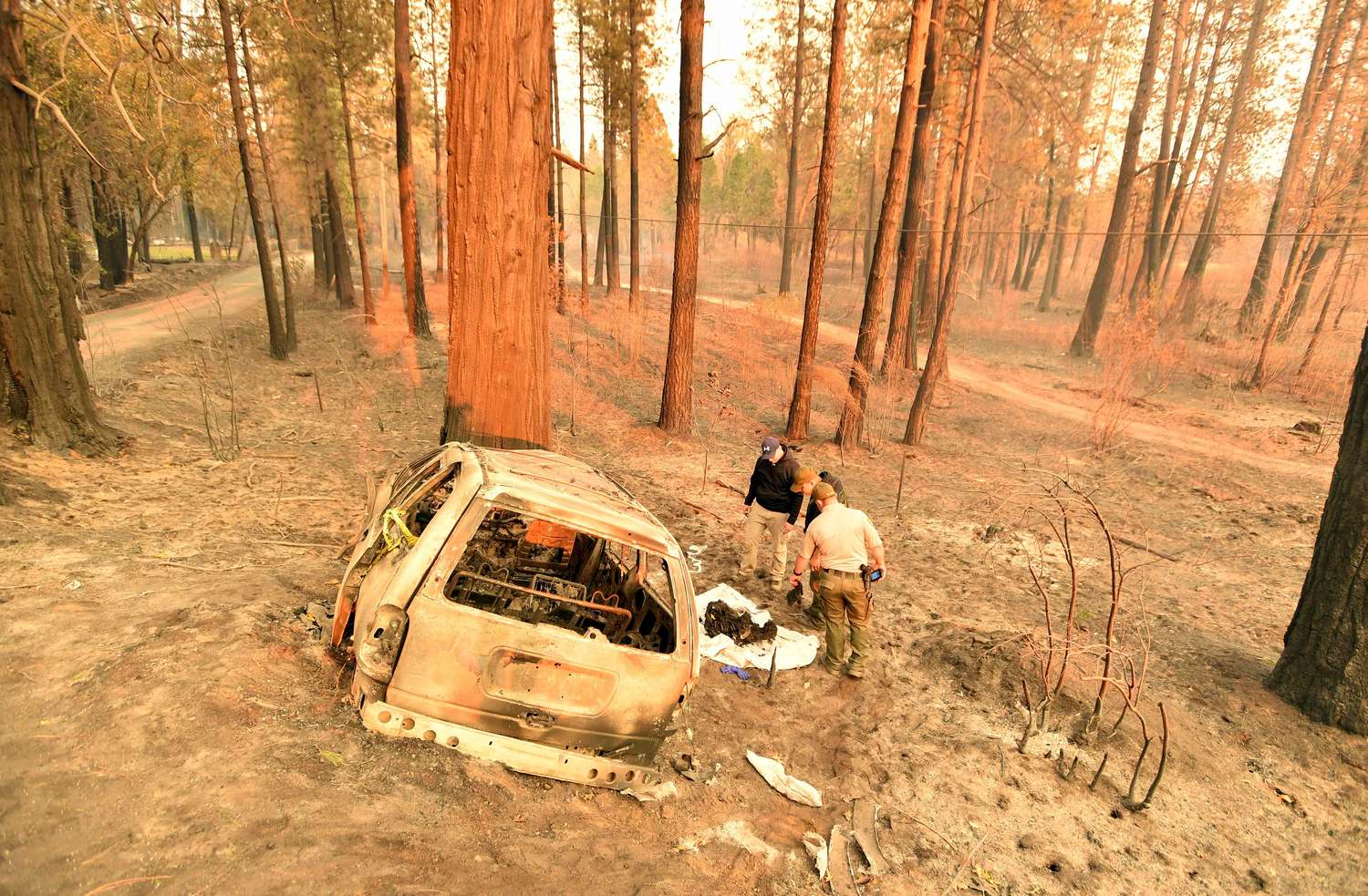 Millares de bomberos luchaban contra los incendios en California