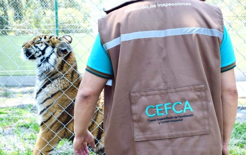 Ambiente desbarató un zoológico privado ilegal en Olavarría