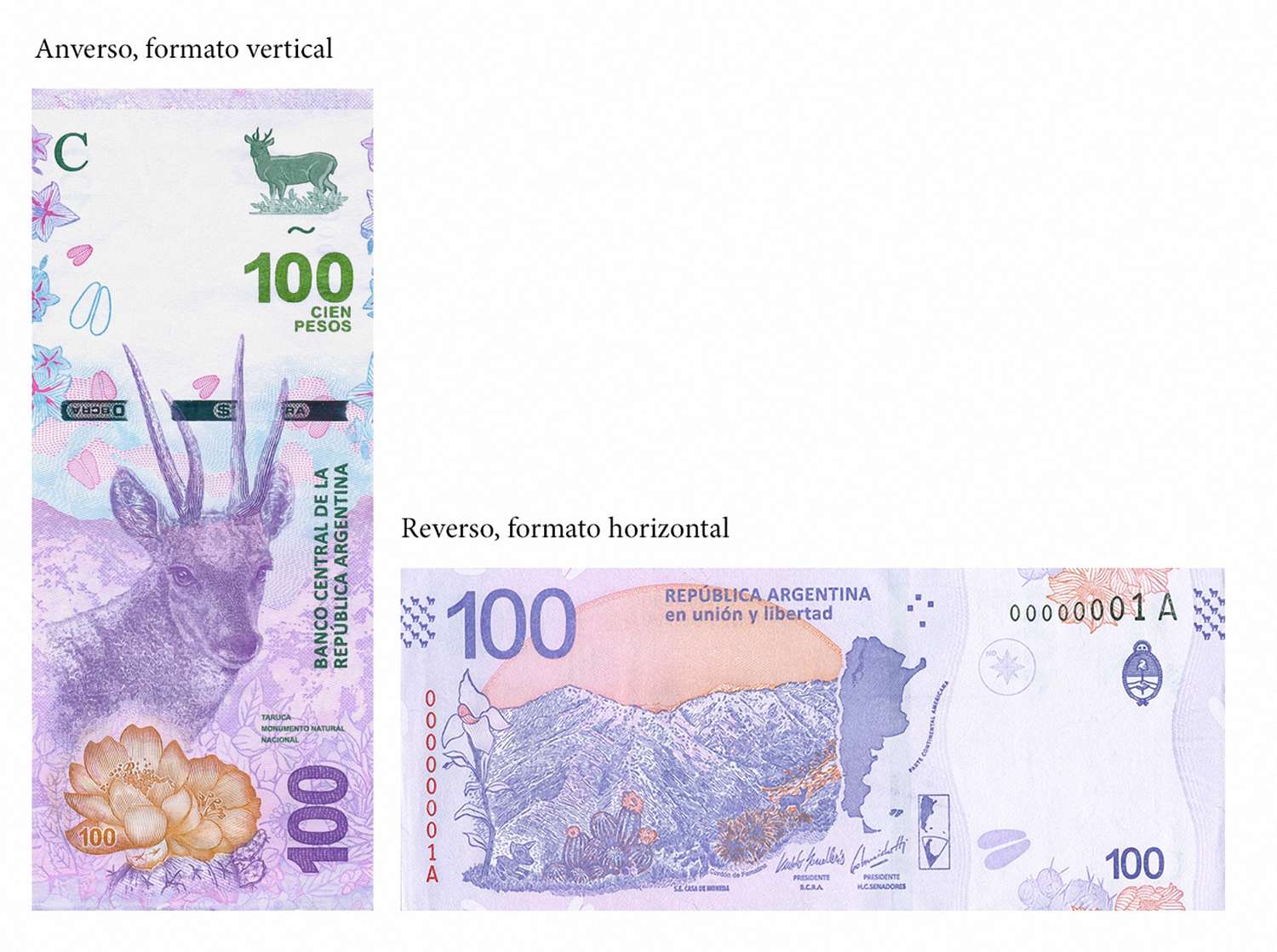 Presentaron nuevos billetes de 100 pesos que llevan la imagen de una taruca