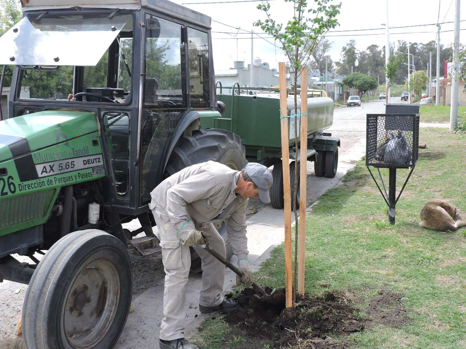 El Municipio planta más de 800 nuevos árboles  en La Movediza y avanza con la forestación urbana