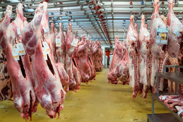 La faena de ganado vacuno y la producción de carne aumentaron durante el año 2018
