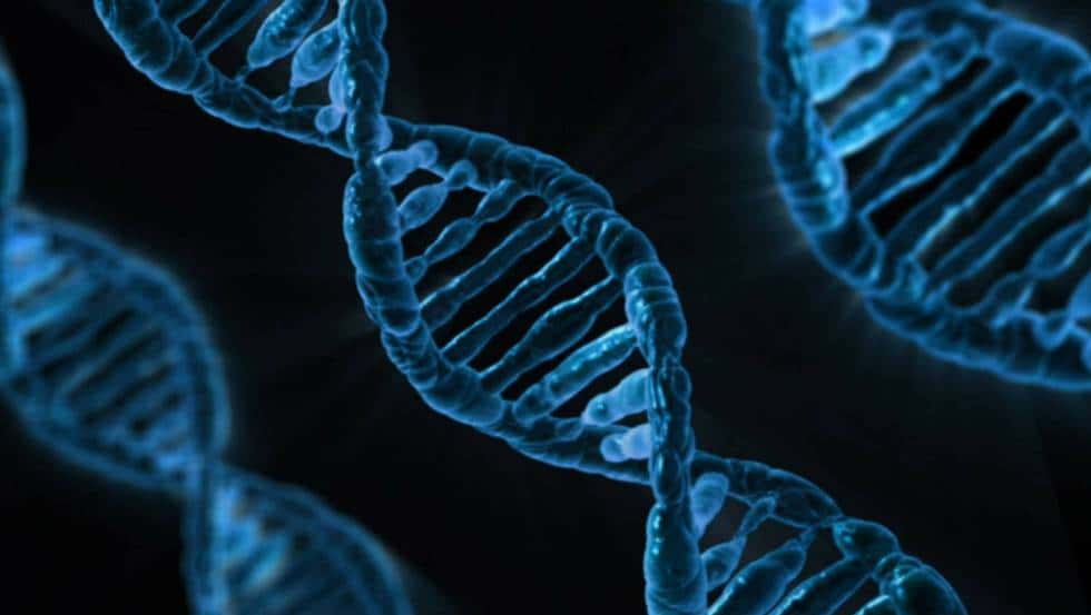 Hacia una base de datos de ADN universal