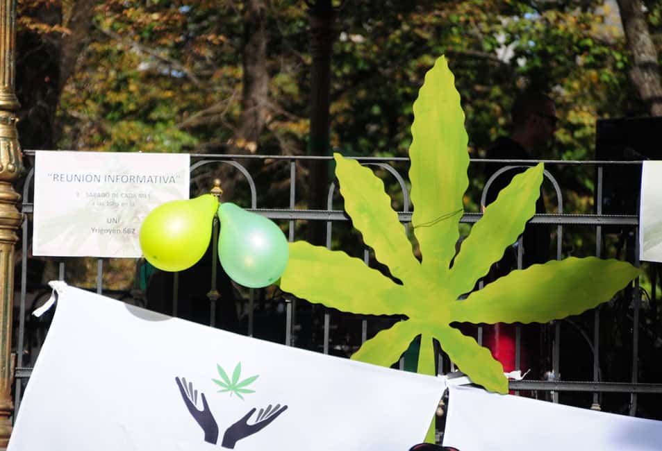 Piden medidas para evitar la persecución a los consumidores de cannabis