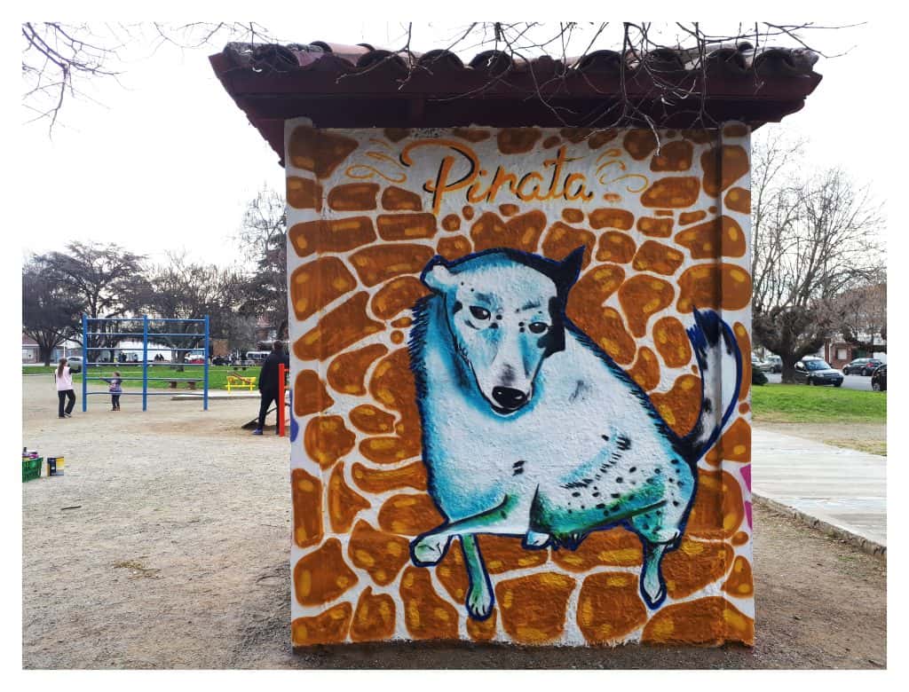 “Perritos pintados”, un proyecto que usa el arte  como comunicación y para transformar la sociedad