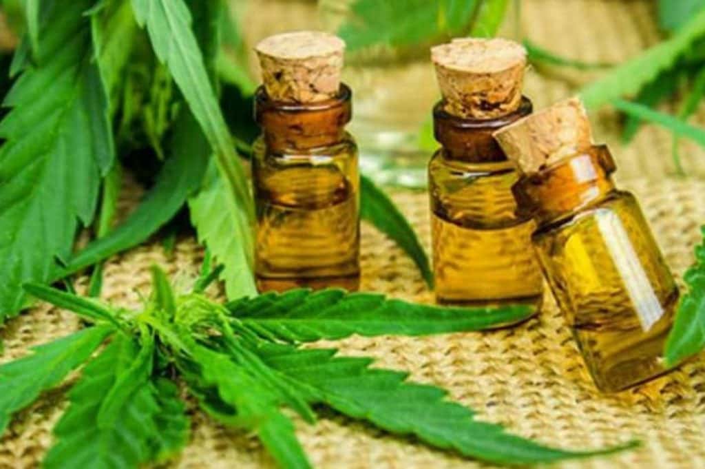 La ONU reconoció oficialmente las propiedades medicinales del Cannabis