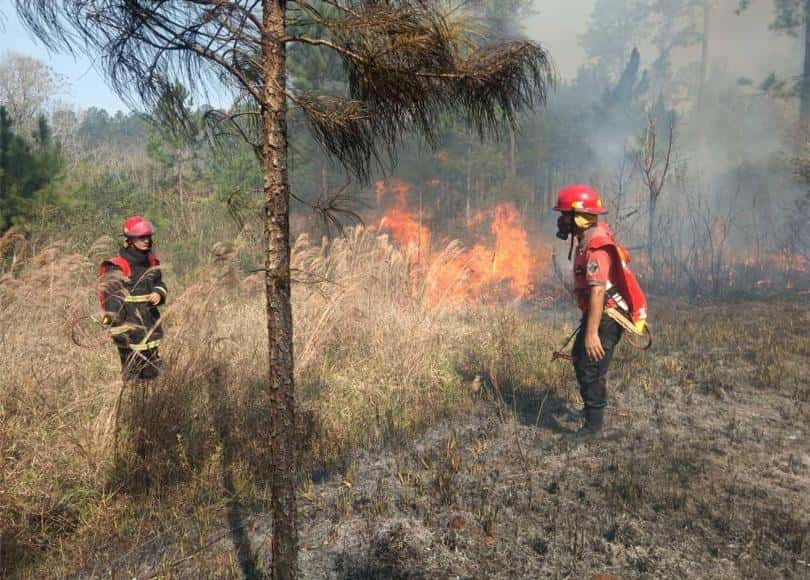 Incendios en el Chaco Americano produjeron “mayor desastre ambiental” que inundaciones
