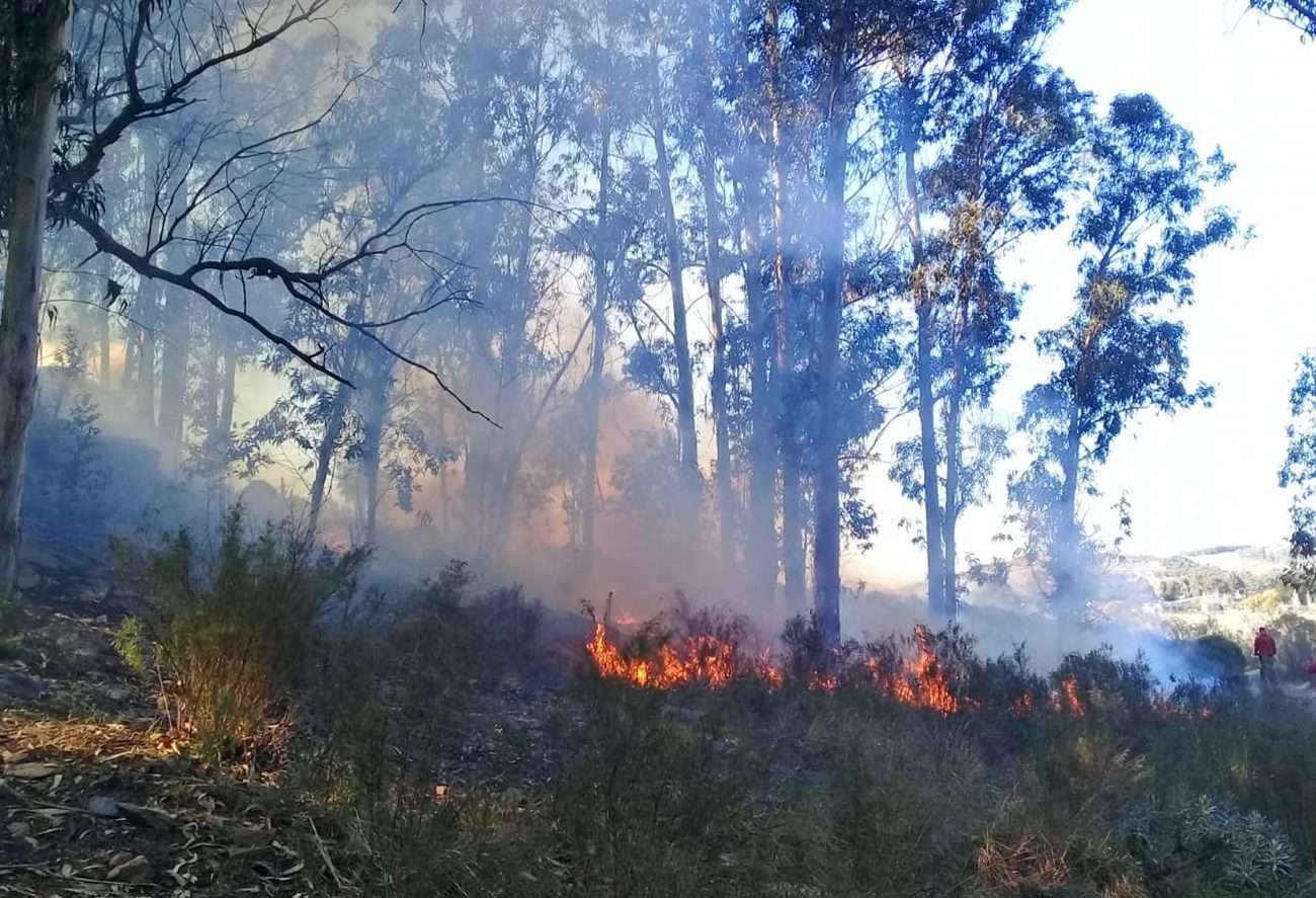 Un importante incendio afectó unas 60 hectáreas de la zona de Villa del Lago