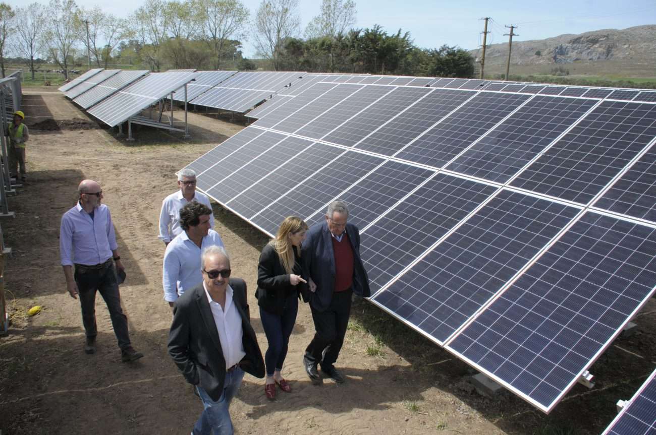 El intendente, junto con autoridades de la Usina, recorrió el Parque de Energía Solar