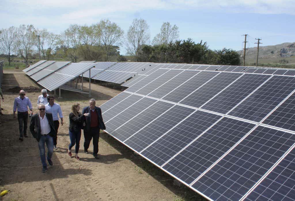 El Intendente y autoridades de la Usina recorrieron el Parque de Energía Solar
