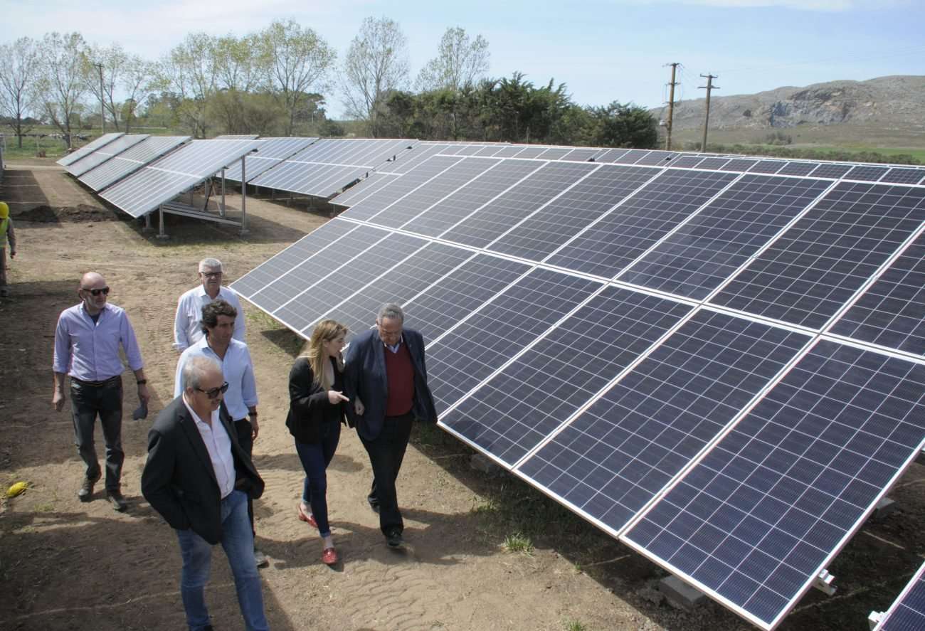 El Parque Solar comenzó a inyectar energía equivalente al consumo de 400 hogares
