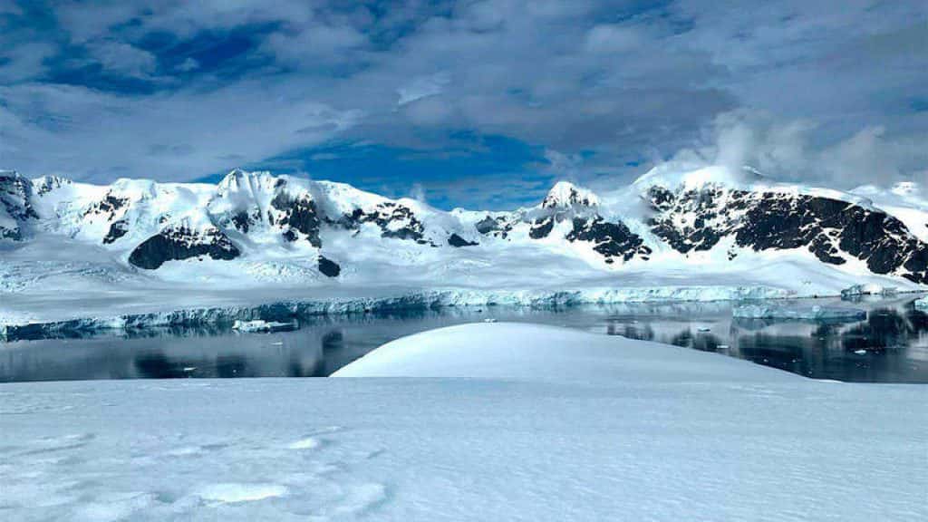 Buscan cinco voluntarios para vivir un mes con todo pago en la Antártida
