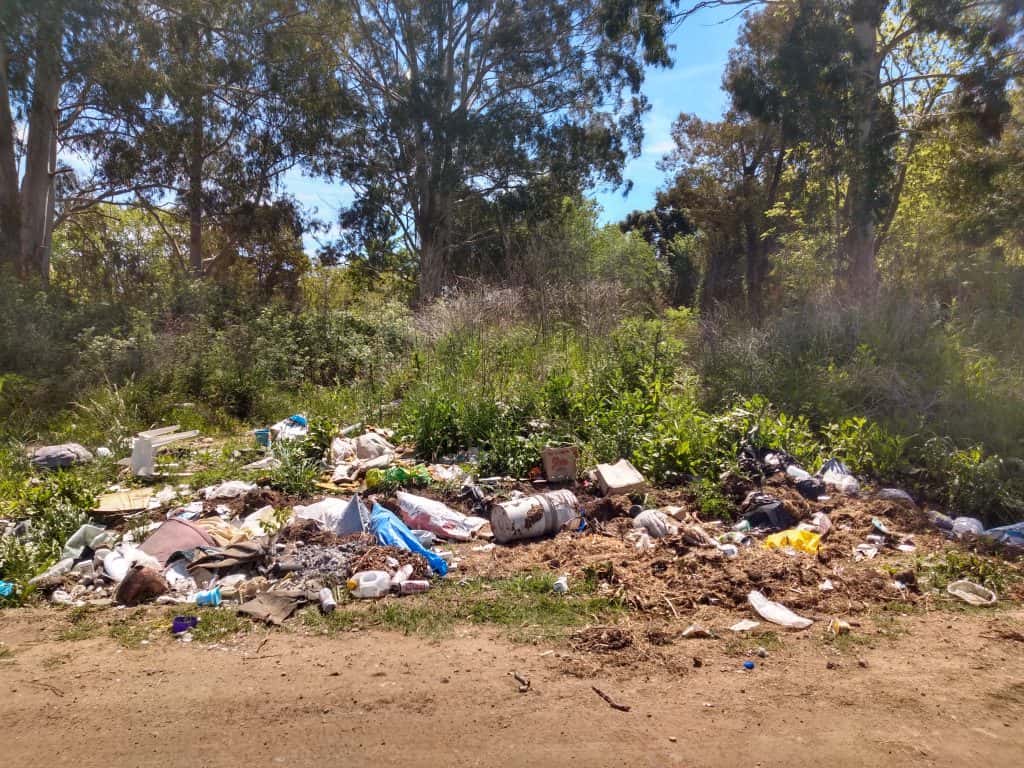 Se aguarda el debate de un  proyecto que endurece las  multas por arrojar basura  en lugares indebidos