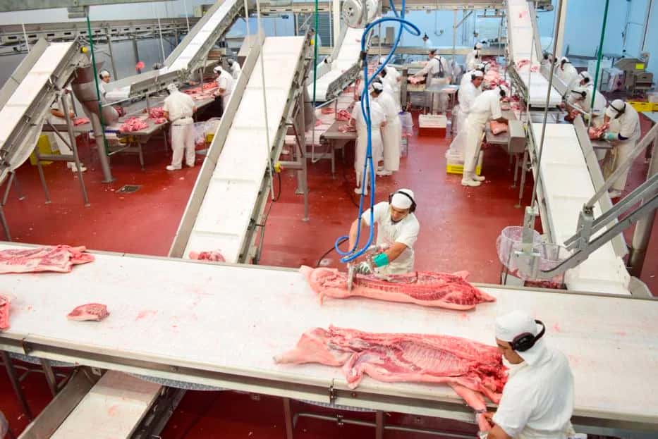 Una empresa tandilense exportará carne de cerdo a China