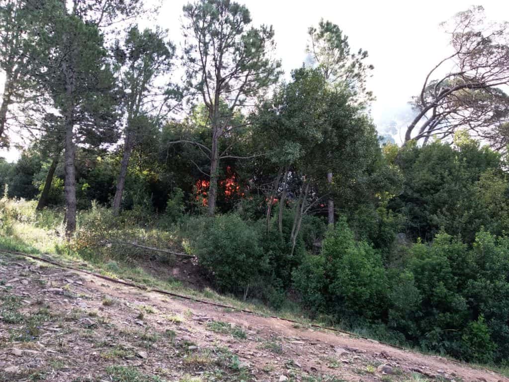 Un incendio en la cima del Parque alarmó a los vecinos de la zona
