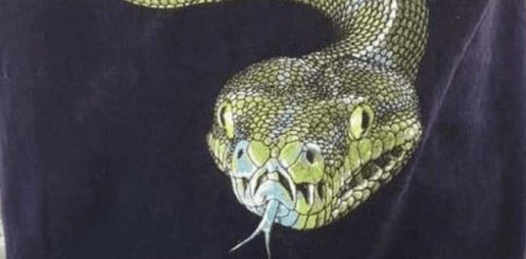 Prohíben a un chico subir al avión porque su remera tenía el dibujo de una serpiente