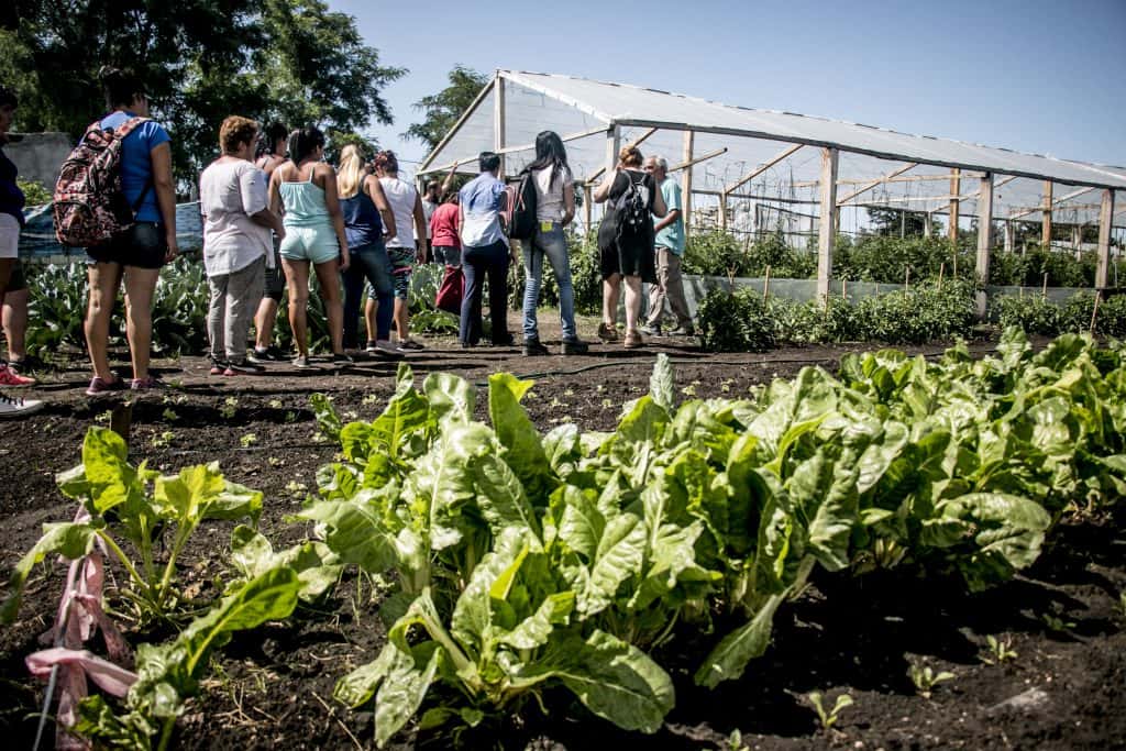 La Utep-Evita realizó un encuentro de agricultura urbana para generar más trabajo en Tandil