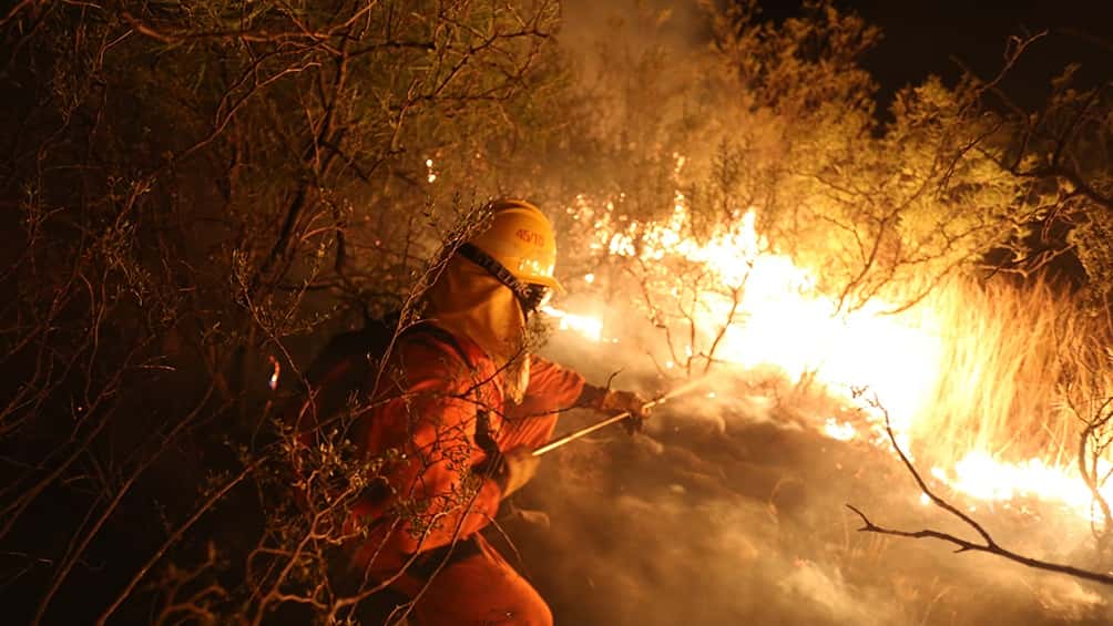 Los incendios están mutando por el cambio climático y Argentina tiene zonas vulnerables