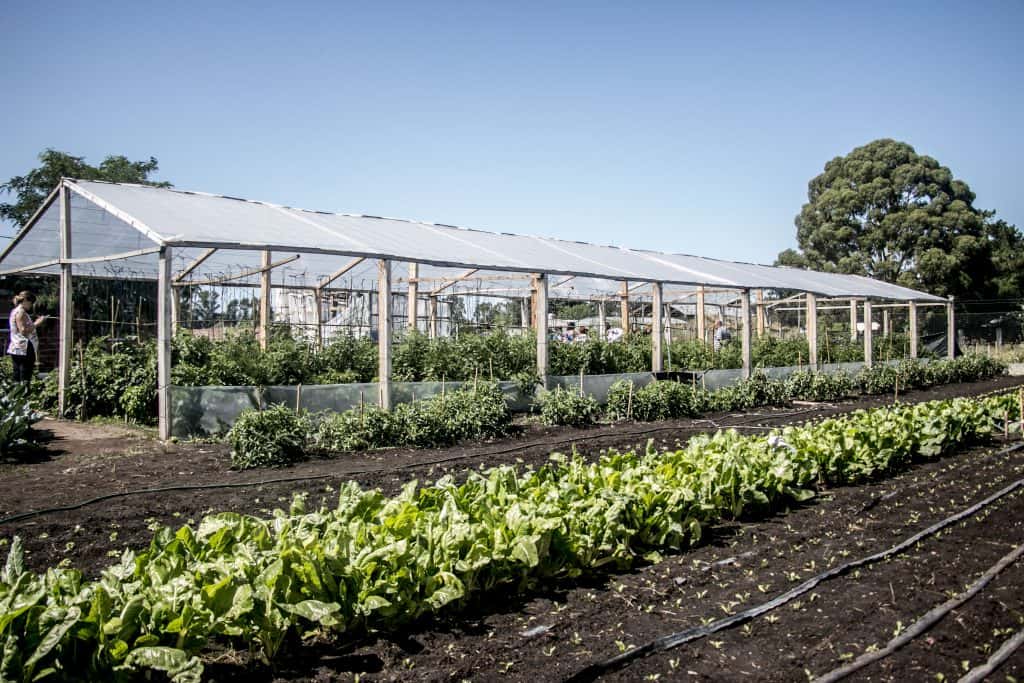 La Utep-Evita realiza una nueva venta al público de verduras agroecológicas