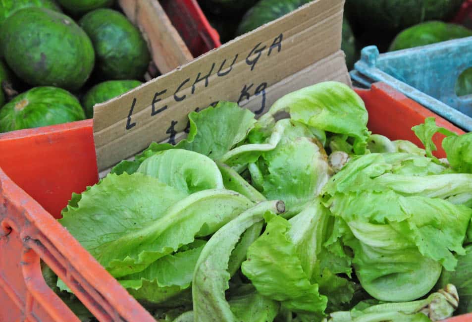 El precio de las verduras aumentó un 35 por ciento durante febrero