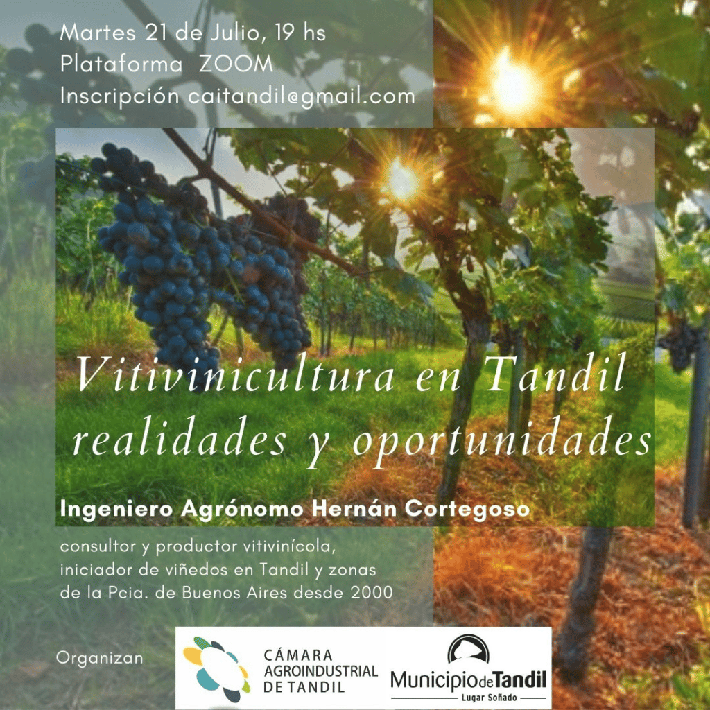 Invitan a participar de una charla sobre vitivinicultura en Tandil