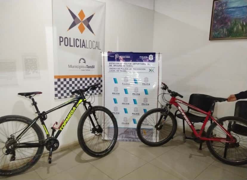 Recuperaron las bicicletas robadas de Chile al 600