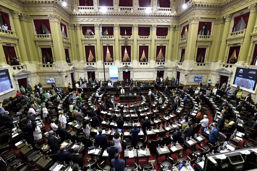 Diputados tandilenses expusieron sus posturas en el debate por la legalización del aborto